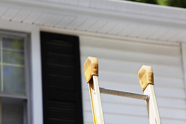 Best Storm Damage Siding Repair  in Lathrop, MO